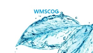 WMSCOG_132-1